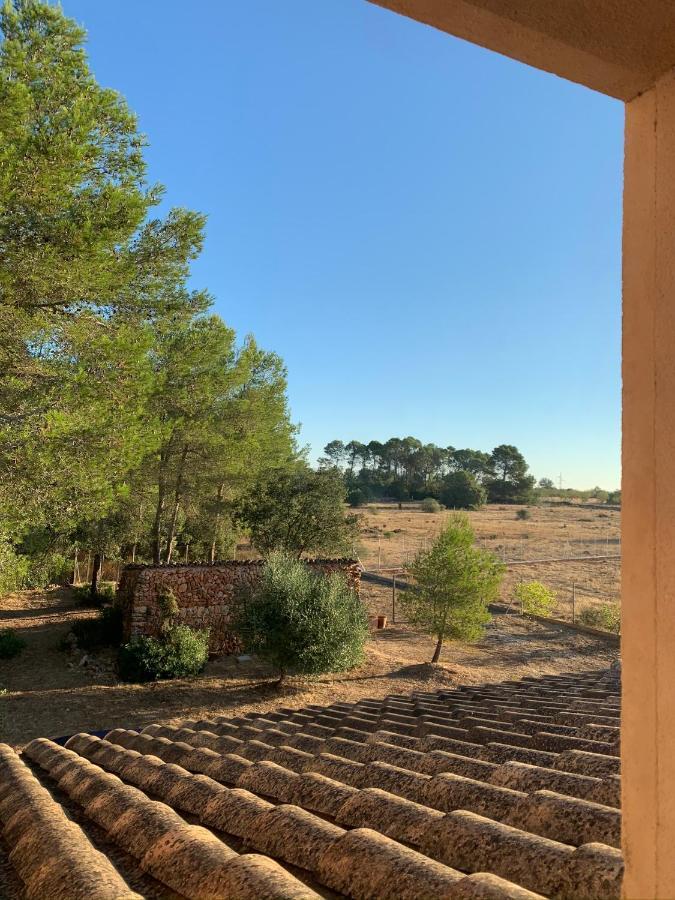 Son Amal Hébergement de vacances